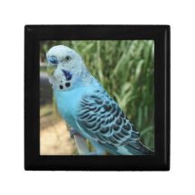 Schachtel für Holzschmuck