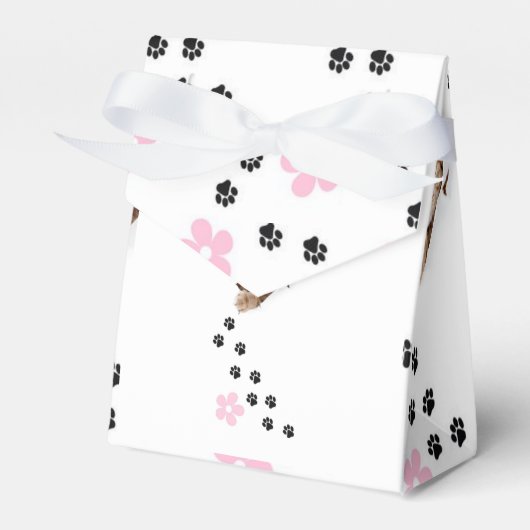 Schachtel Geschenk Ballotin Geschenkschachtel (Vorderseite)