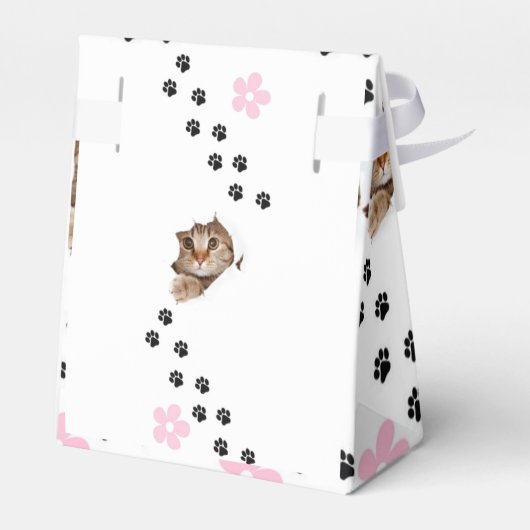 Schachtel Geschenk Ballotin Geschenkschachtel (Rückseite)