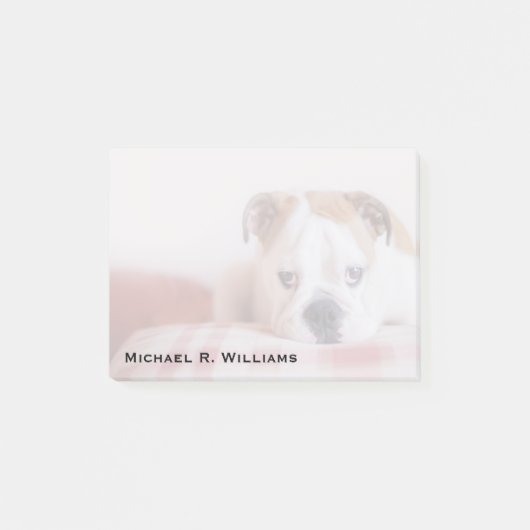 Schade-Englisch-Bulldog-Welpe Post-it Klebezettel (Vorderseite)