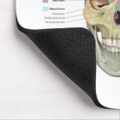 Schädel-Anatomie Mousepad (Ecke)