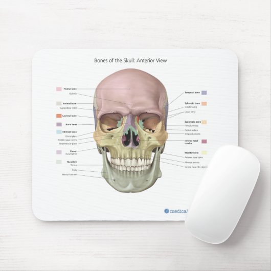 Schädel-Anatomie Mousepad (Mit Mouse)