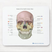 Schädel-Anatomie Mousepad (Vorne)