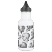Schädel-Arten Edelstahlflasche (Rechts)