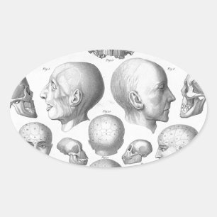 Schädel-Arten Ovaler Aufkleber