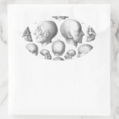 Schädel-Arten Ovaler Aufkleber (Tasche)