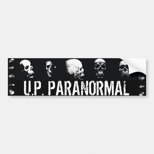 Schädel - Autoaufkleber (Vorne)