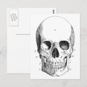 Schädel Diagramm Postkarte (Vorne/Hinten)