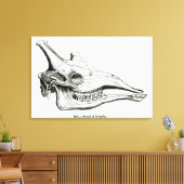 Schädel einer Giraffe Leinwanddruck (Insitu (Wohnzimmer))