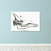 Schädel einer Giraffe Leinwanddruck (Insitu (Holzboden))