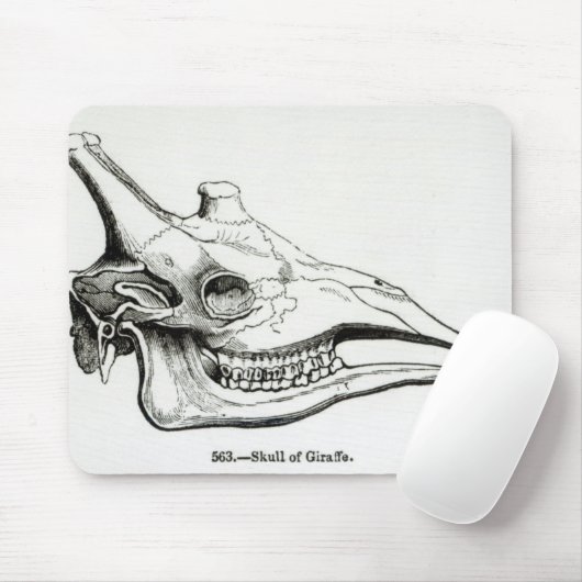Schädel einer Giraffe Mousepad (Mit Mouse)