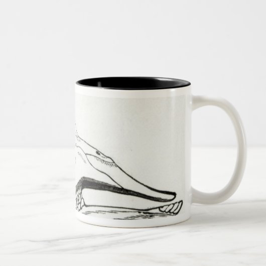 Schädel einer Giraffe Zweifarbige Tasse (Rechts)