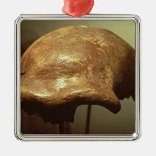 Schädel eines Neanderthal Ornament Aus Metall