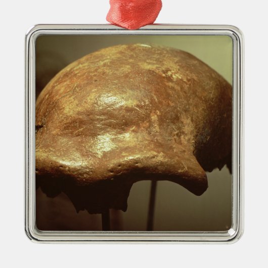 Schädel eines Neanderthal Ornament Aus Metall (Vorne)