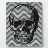 Schädel Fotoplatte (Vorderseite)