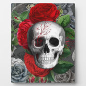 Schädel Fotoplatte (Vorderseite)