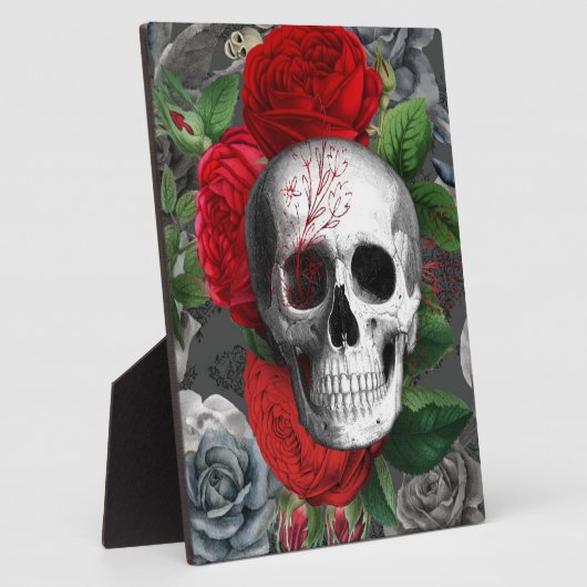 Schädel Fotoplatte (Seite)