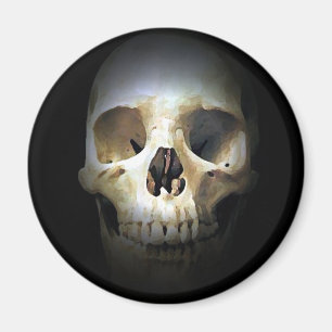 Schädel Magnet