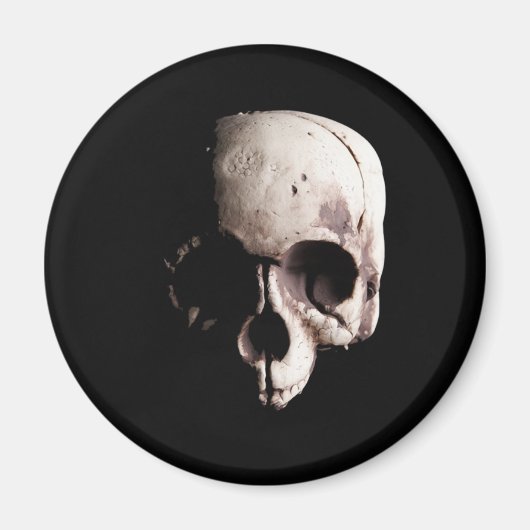 Schädel Magnet (Vorne)