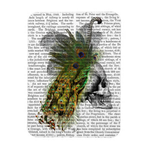 Schädel mit Feder Headress Magnet