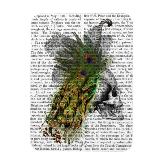 Schädel mit Federhaube Magnet (Vertikal)