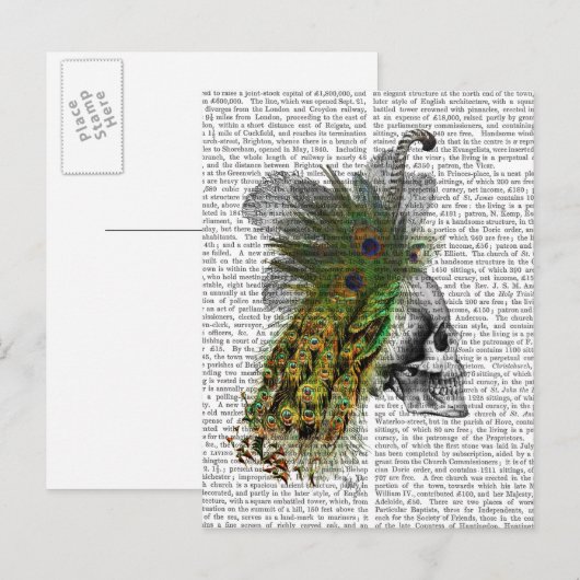 Schädel mit Federhaube Postkarte (Vorne/Hinten)