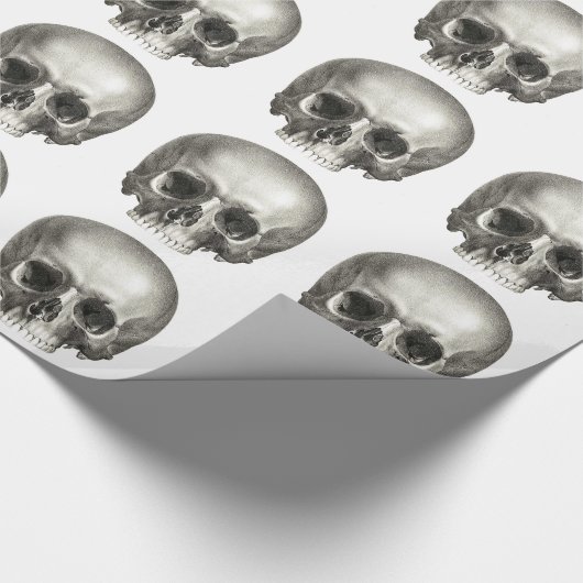 Schädel-Packpapier Geschenkpapier (Ecke)