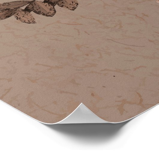 Schädel Poster (Ecke)