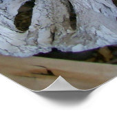 Schädel Poster (Ecke)