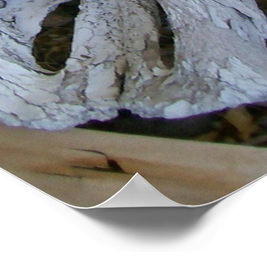 Schädel Poster (Ecke)