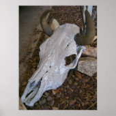 Schädel Poster (Vorne)