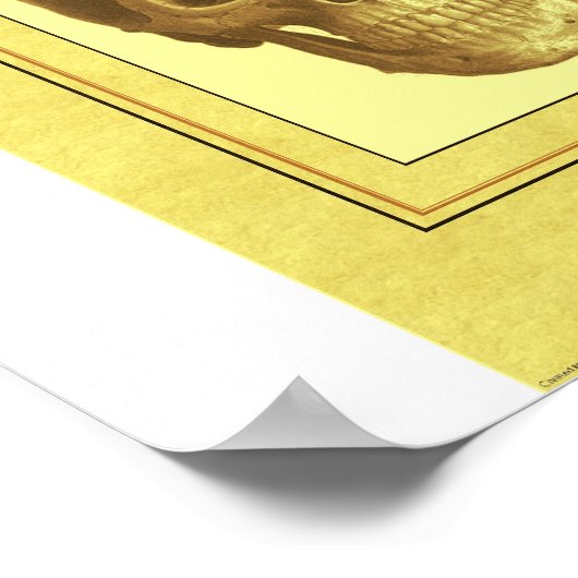 Schädel Poster (Ecke)