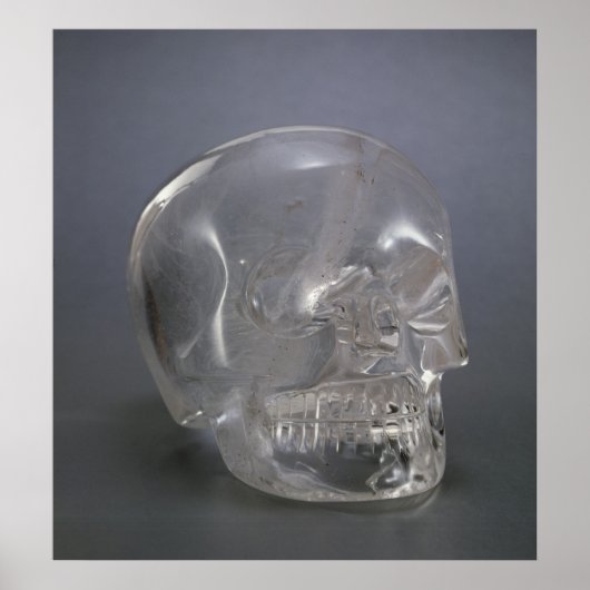 Schädel Poster (Vorne)