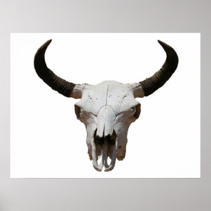 Schädel Poster