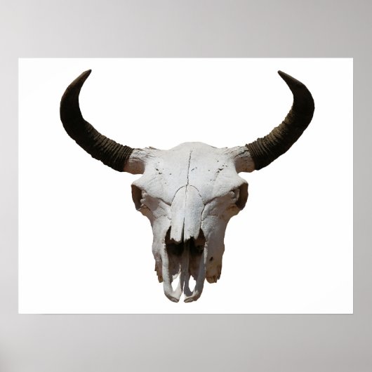 Schädel Poster (Vorne)