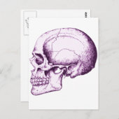 Schädel Postkarte (Vorne/Hinten)