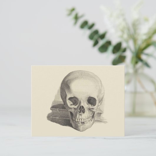 Schädel und Buch Postkarte (Stehend Vorderseite)