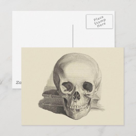 Schädel und Buch Postkarte (Vorne/Hinten)