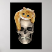 Schädel und Katze Poster (Vorne)