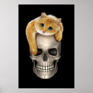 Schädel und Katze Poster