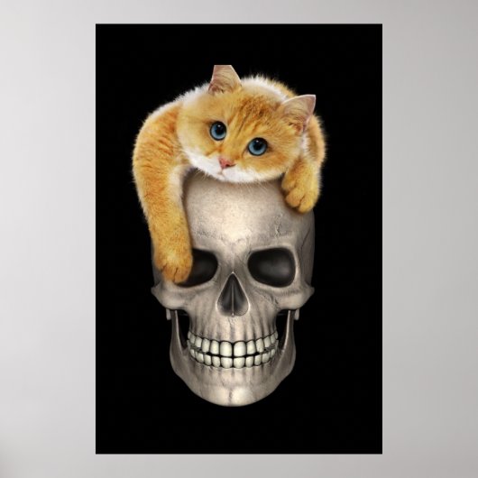 Schädel und Katze Poster (Vorne)