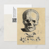 Schädel und Kieferknochen Postkarte (Vorne/Hinten)