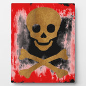 Schädel und Knochen Fotoplatte (Vorderseite)