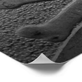 Schädel und Kreuzknochen Poster (Ecke)