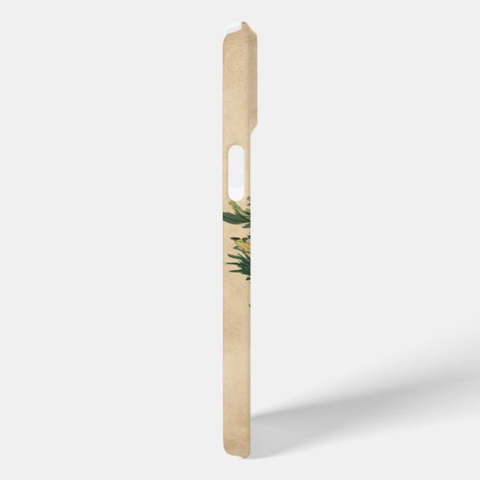 Schädel und schwarze Katze Case-Mate iPhone Hülle (Rückseite / Rechts)