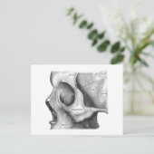 Schädel- und Wirbelsäulenkarte Postkarte (Stehend Vorderseite)