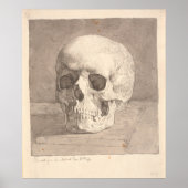 Schädel, Vorderansicht Poster (Vorne)