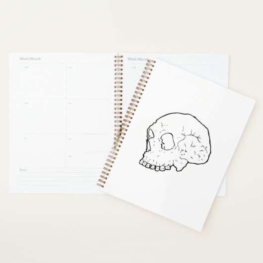 Schädeldarstellung Planer (Anzeige)