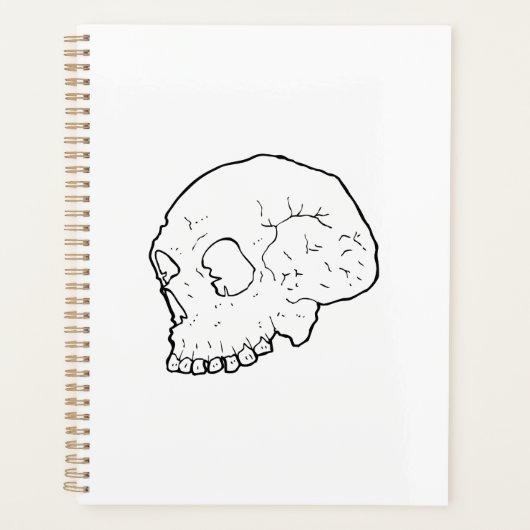 Schädeldarstellung Planer (Vorderseite)