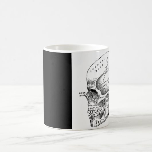 Schädelkaffee/Tee-Tasse Kaffeetasse (Mittel)
